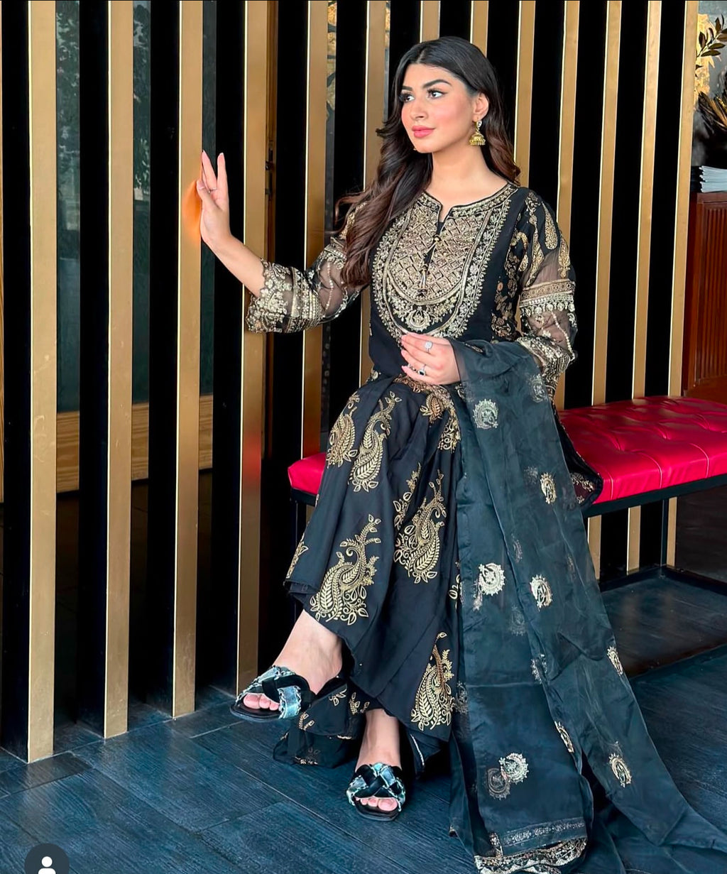 Evas Pakistani inspired suit-20506