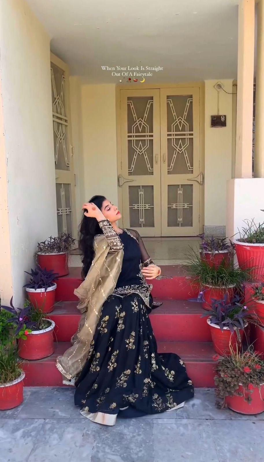 Evas Pakistani inspired suit-20501