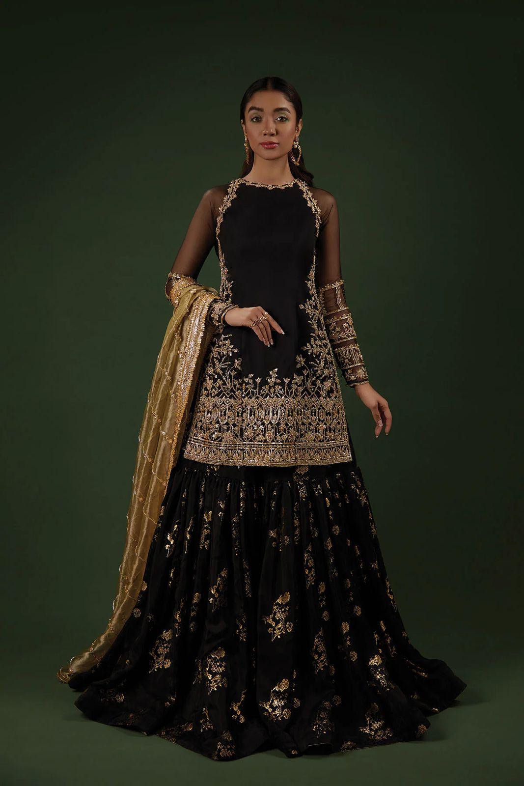 Evas Pakistani inspired suit-20501