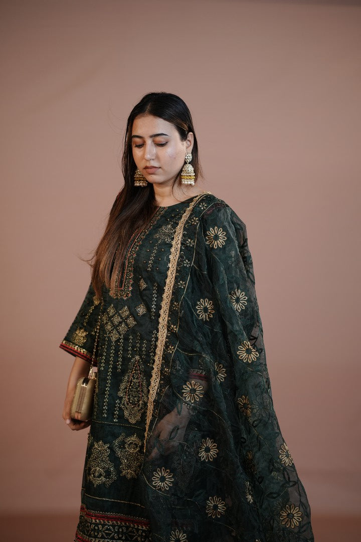 ZARA EVAS ORGANZA 01212