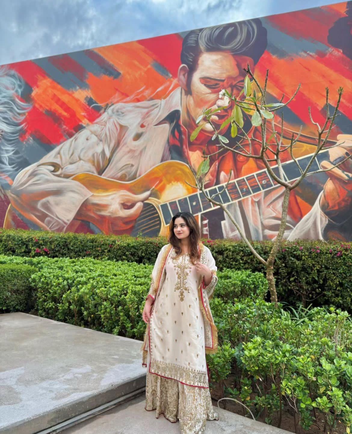 Eva Ethereal Glam Faux Georgette Sharara