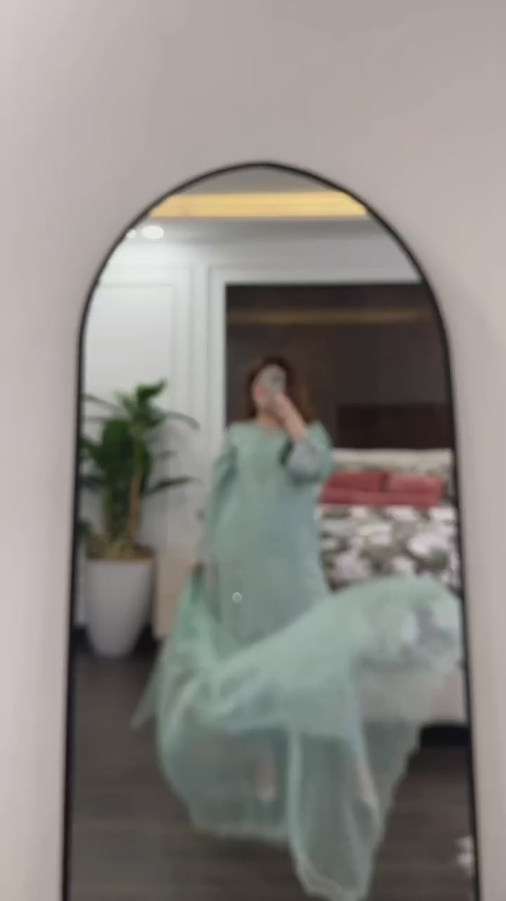 Evas Pakistani inspired suit-20504